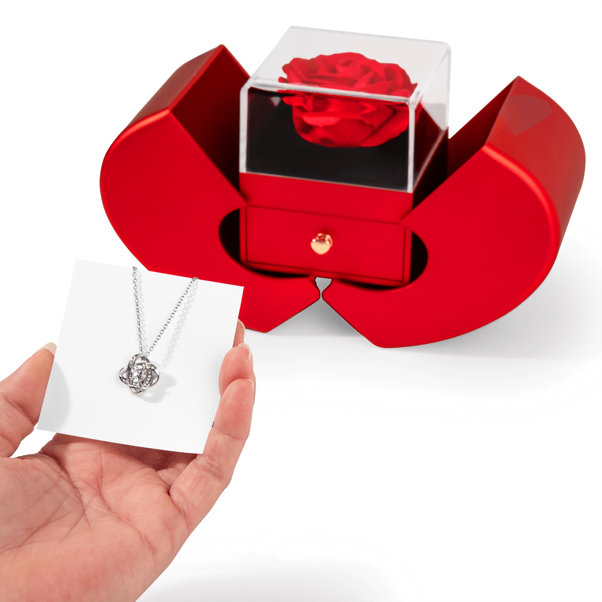 Love Knot Necklace with Red Rose Heart Box